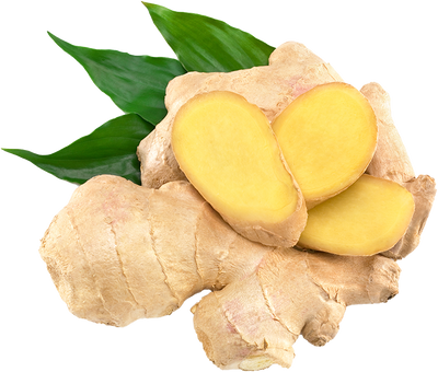 Ginger